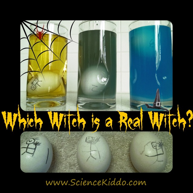 Salt Water Eggs Density Experiment Middle Ages Science